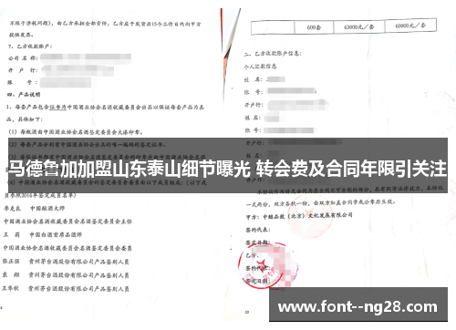 马德鲁加加盟山东泰山细节曝光 转会费及合同年限引关注